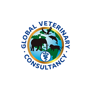 global-veterinary-consultancy